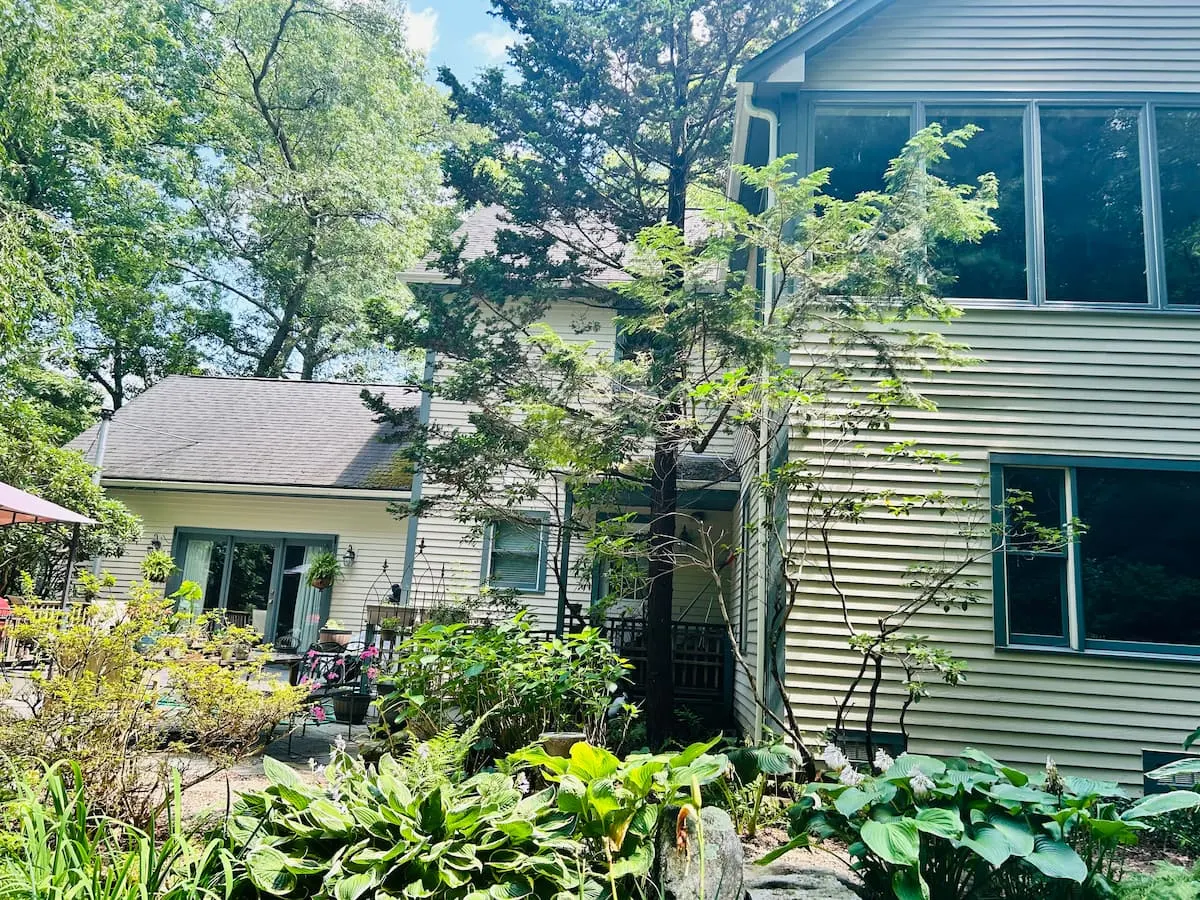 Lush planted garden beside the house