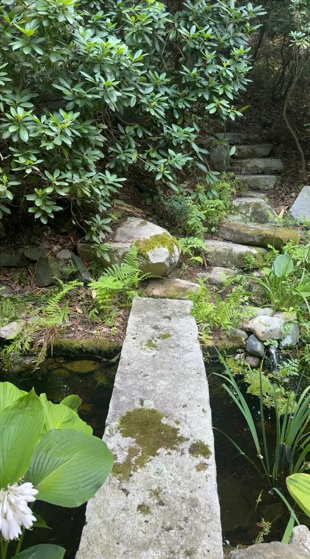 A long stone slab crossing the garden pond, with steps climbing into the rhododendrons