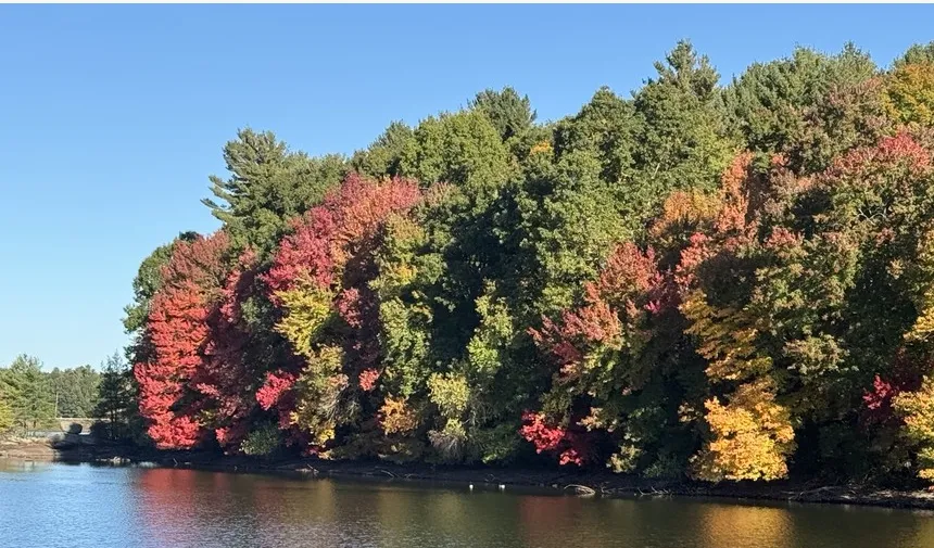 Autumn foliage reflected in the Sudbury Reservoir