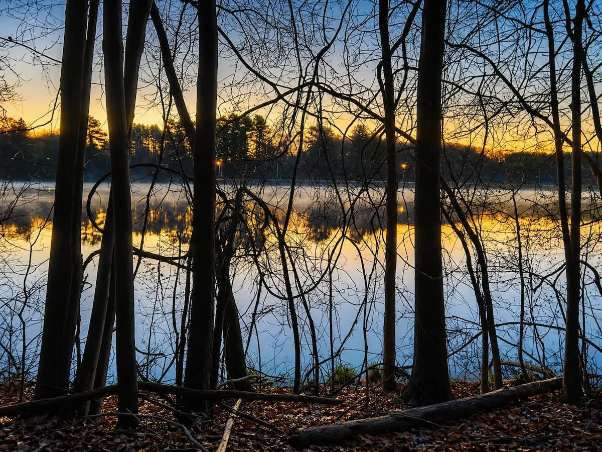 Sunset over the reservoir seen through bare trees