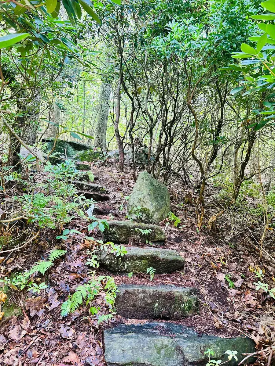 Stone steps climbing through the woods toward the rock seat
